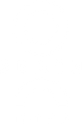 O Beach Store